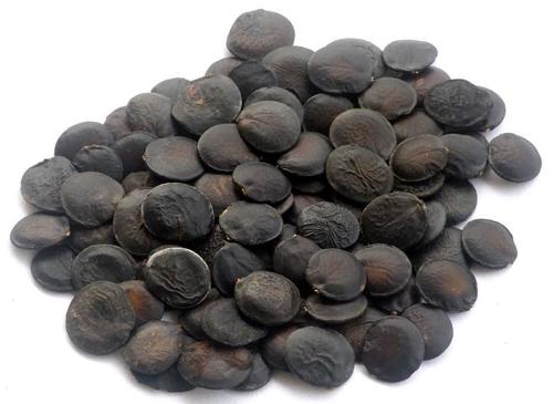 Griffonia Seed Extract Powder.jpg